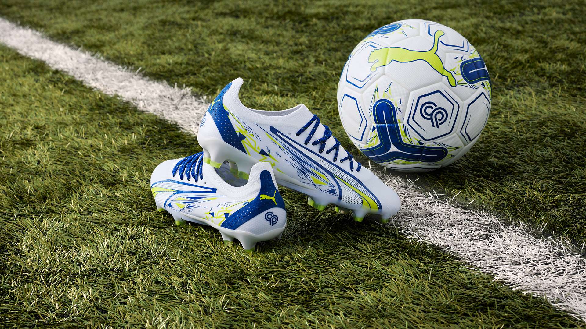 凱恩真正的 凱恩真正的