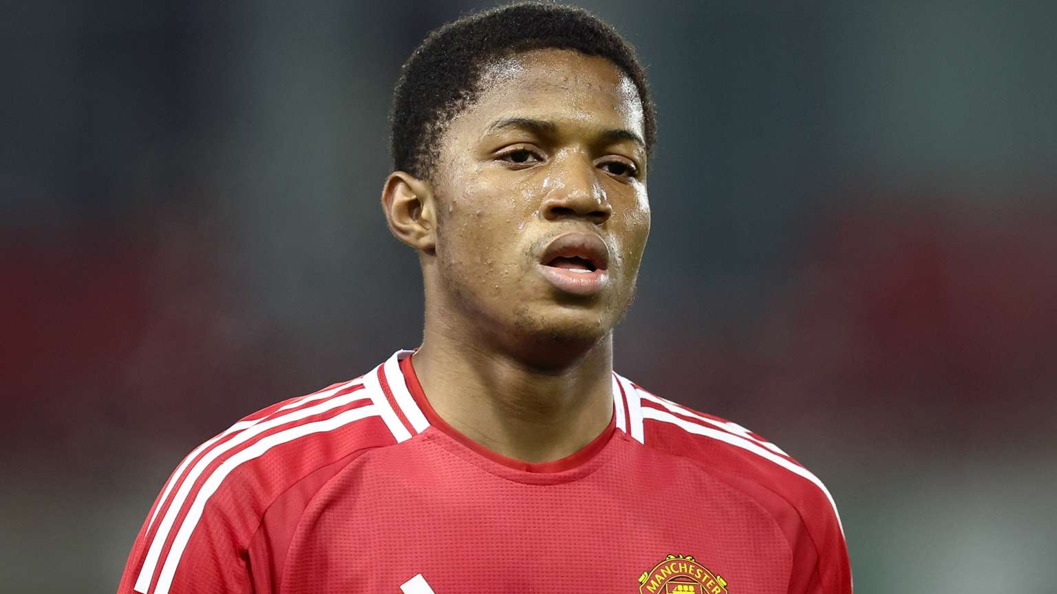 威斯布魯克 威斯布魯克