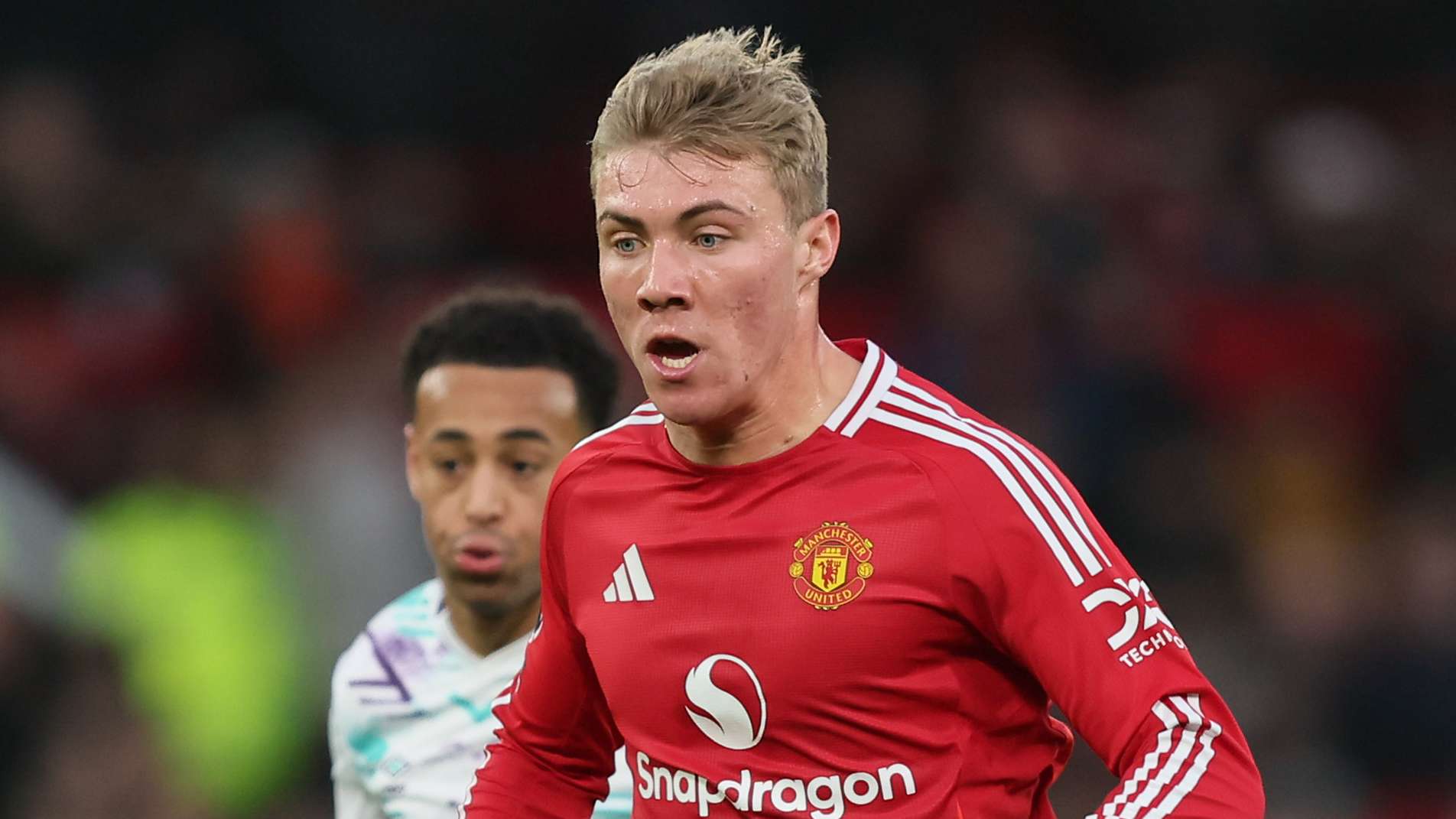 灰熊凭借年 灰熊凭借年